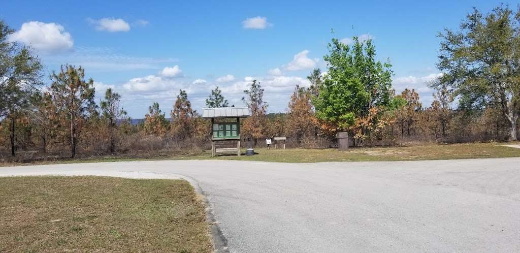 Lake Louisa State Park Campground - Loop A | Clermont, FL 34714, USA | Phone: (800) 326-3521