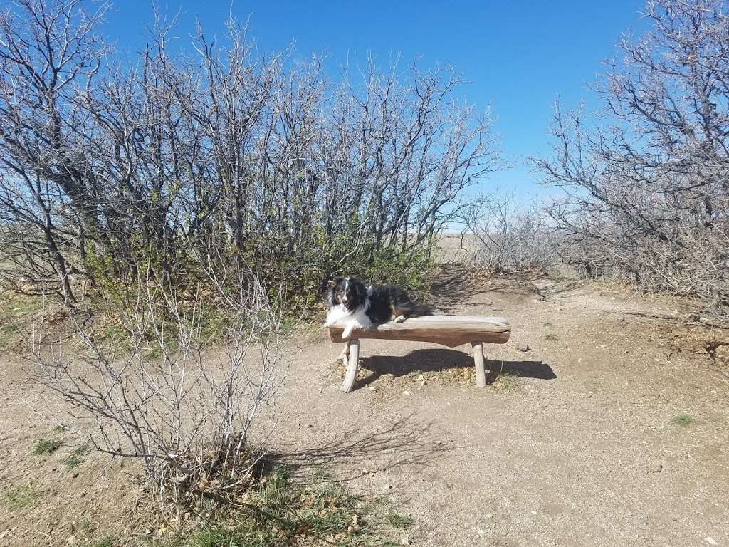 Dog Park | Castle Rock, CO 80108, USA