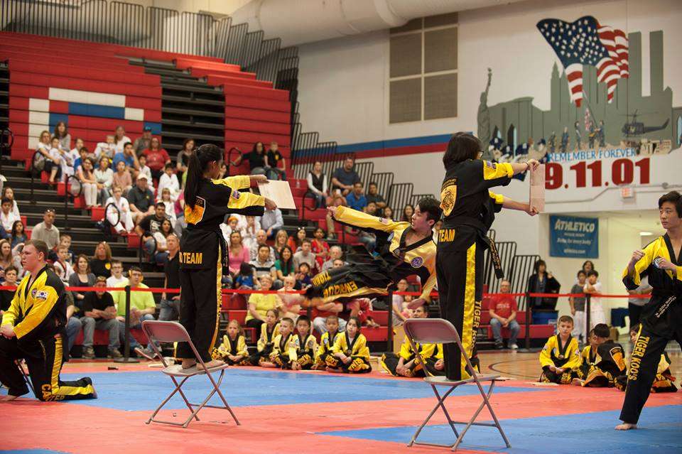 Tiger Koos Martial Arts - TaeKwonDo | 1465 Palatine Rd, Hoffman Estates, IL 60192, USA | Phone: (847) 776-0077