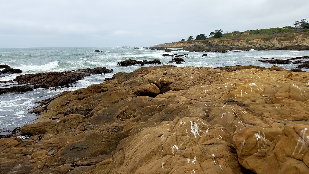 Bean Hollow State Beach | New Years Creek Rd, Pescadero, CA 94060, USA | Phone: (650) 726-8819