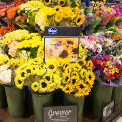 Kroger | 25050 Farm to Market 1093, Richmond, TX 77406, USA | Phone: (832) 586-7375