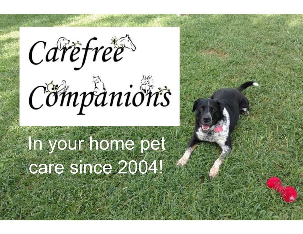 Carefree Companions Pet Care | 2333 Catalina Ave, Vista, CA 92084, USA | Phone: (619) 867-6892