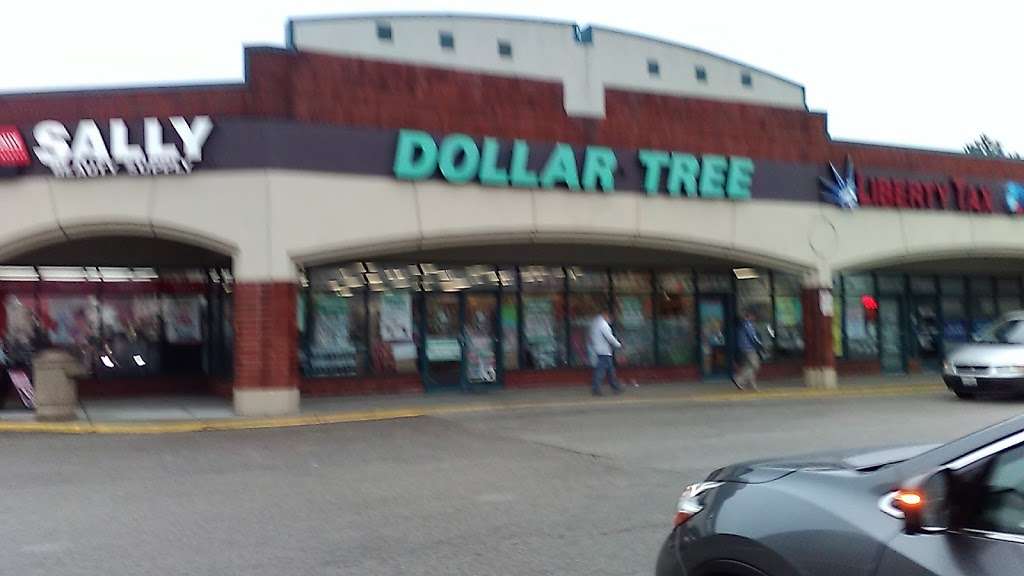 Dollar Tree | 3232 N Harlem Ave, Chicago, IL 60634, USA | Phone: (773) 676-1026