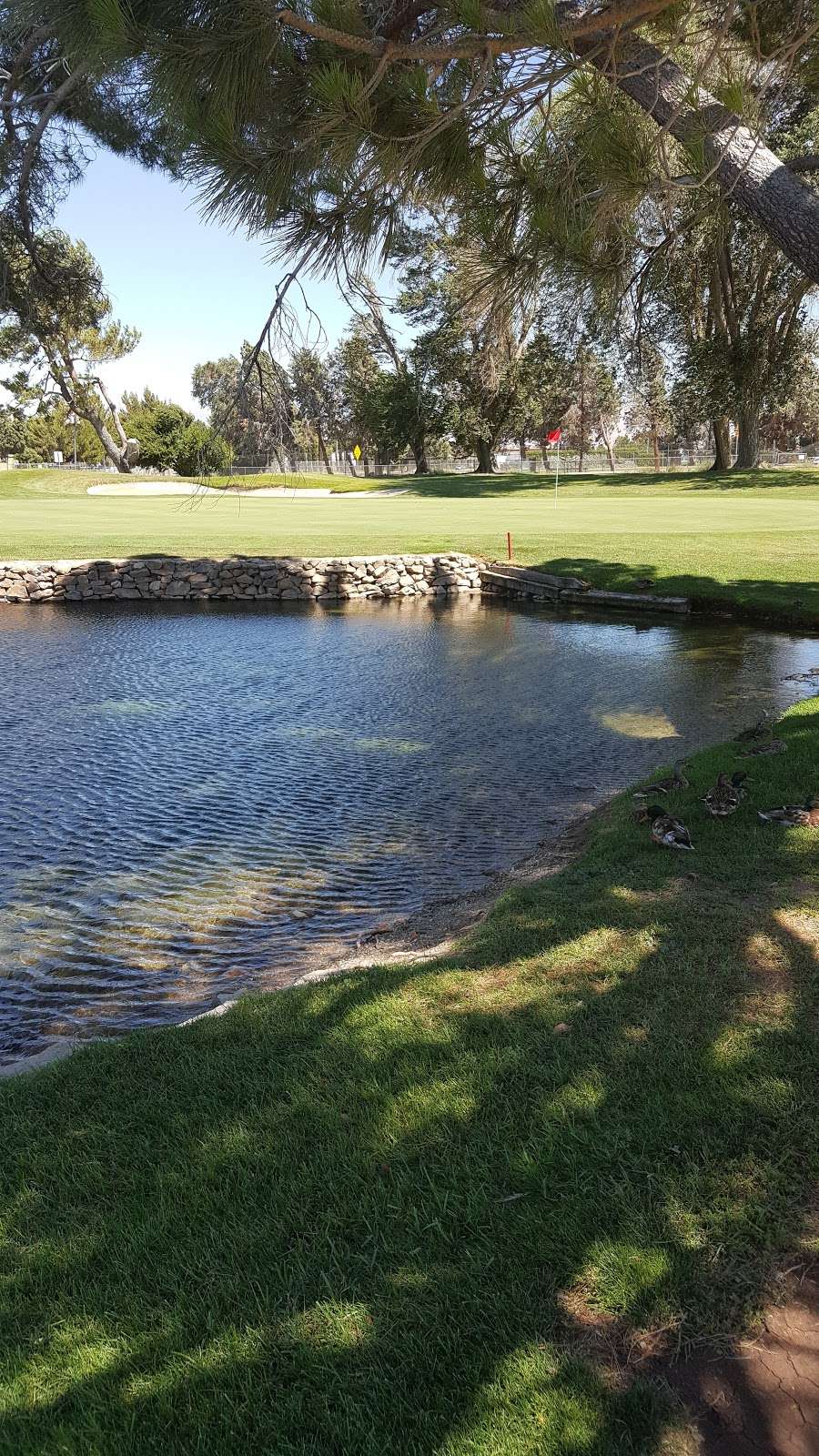 Spring Valley Lake Country Club | 13229 Spring Valley Pkwy, Victorville, CA 92395 | Phone: (760) 245-5356