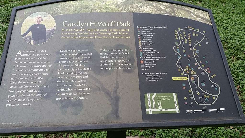 Carolyn H. Wolff Park | 4410 Clay Rd, Houston, TX 77041, USA