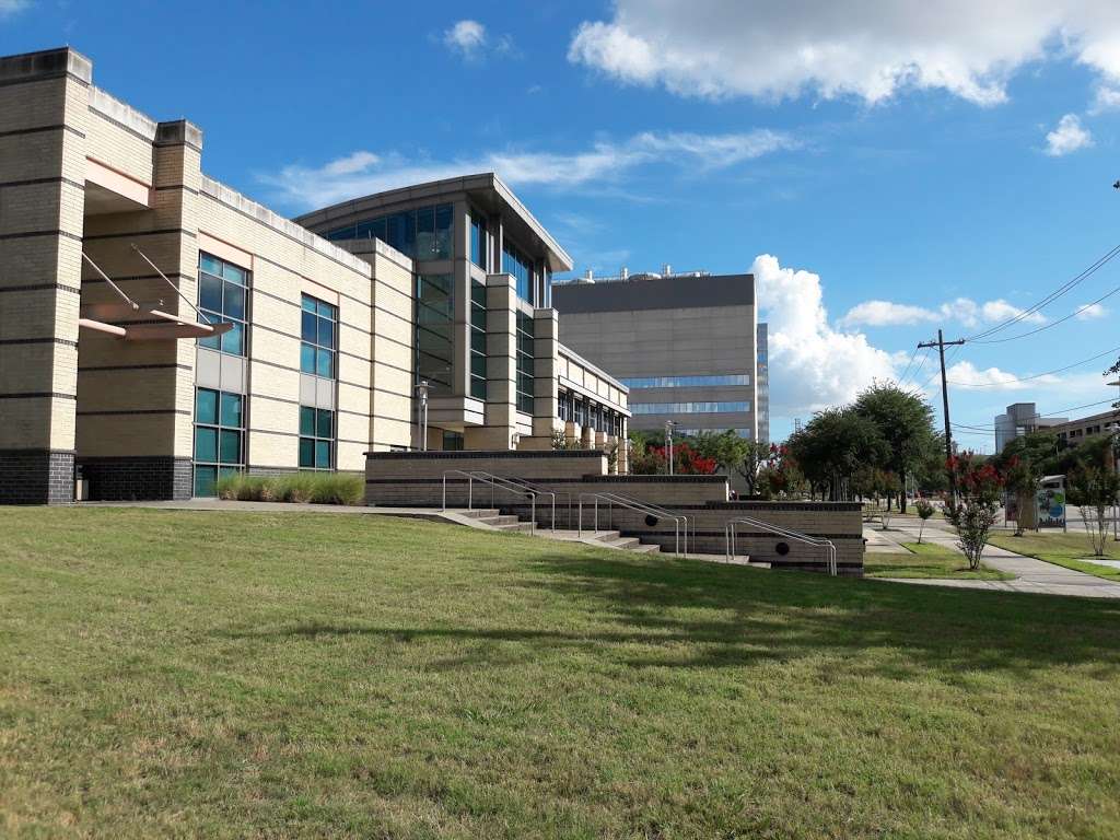 Cougar Kendo at the University of Houston | 4500 University Dr, Houston, TX 77204, USA