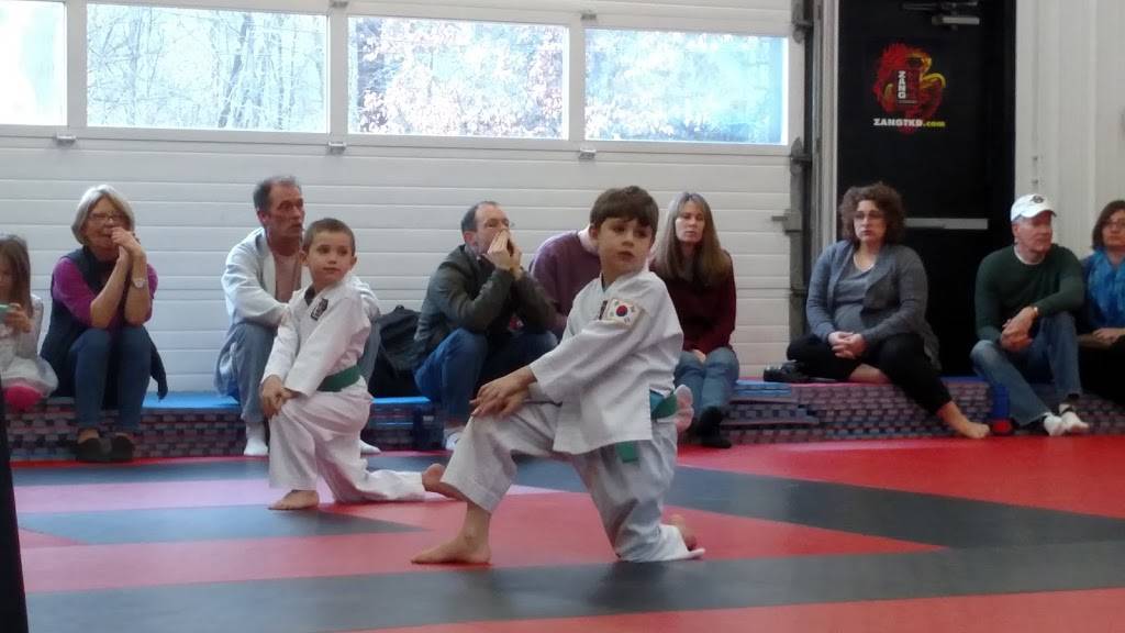 Zang TKD | 355 Northgate Dr, Warrendale, PA 15086, USA | Phone: (724) 934-9264