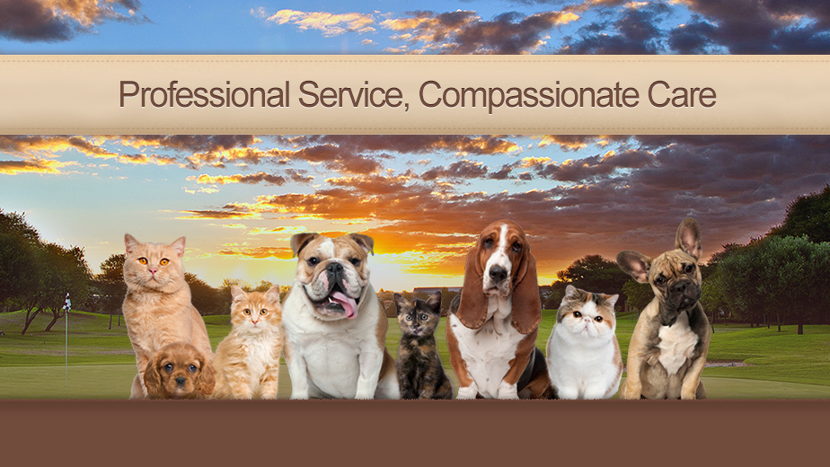 Rancho Bernardo Veterinary Clinic | 12540 Oaks N Dr, San Diego, CA 92128, USA | Phone: (858) 487-4130