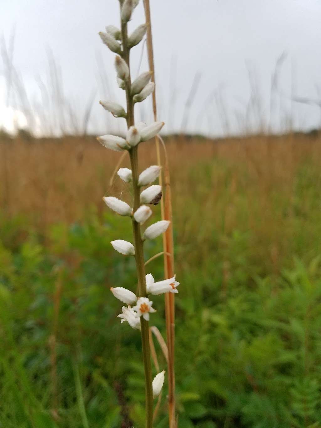 Kankakee National Wildlife Refuge | 1700 E, Pembroke Township, IL 60958, USA