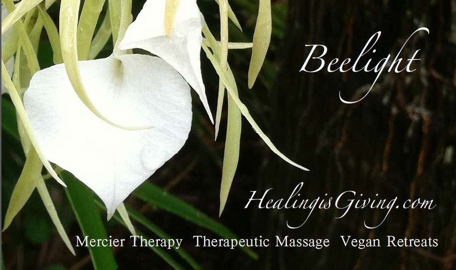 Beelight | 1165 Magnolia Ave, Larkspur, CA 94939 | Phone: (415) 226-9240