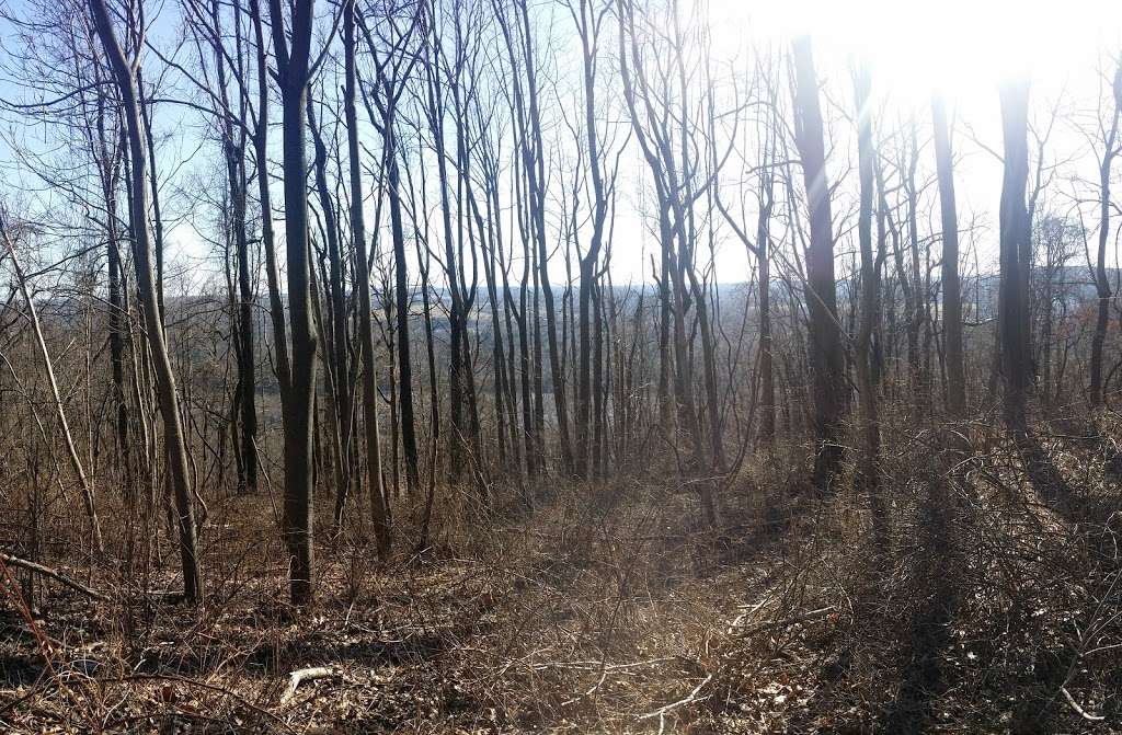 Baldpate Mountain | Titusville, NJ 08560, USA