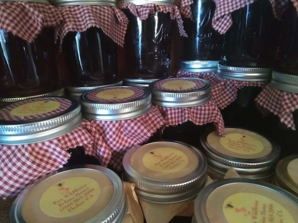 Phelan Honey Farm | 14482 Azalea Rd, Phelan, CA 92371, USA | Phone: (760) 563-2099