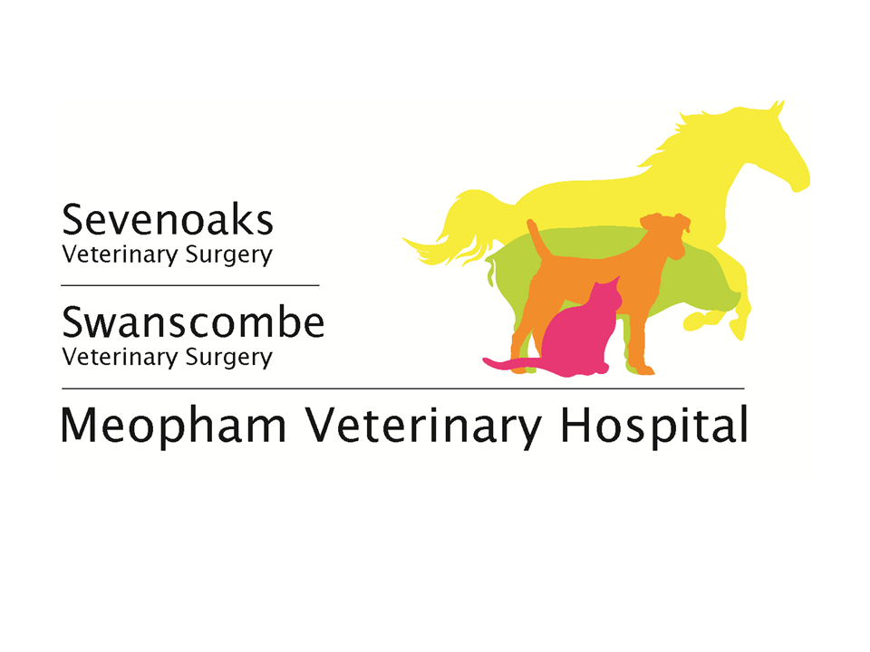 Meopham Veterinary Hospital | Wrotham Rd, Meopham DA13 0QG, UK | Phone: 01474 815333