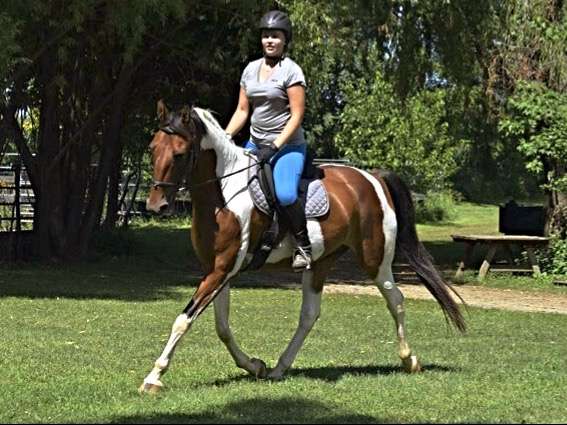 Kutztown Horse Stable | 261 Quarry Rd, Kutztown, PA 19530, USA | Phone: (610) 621-0677