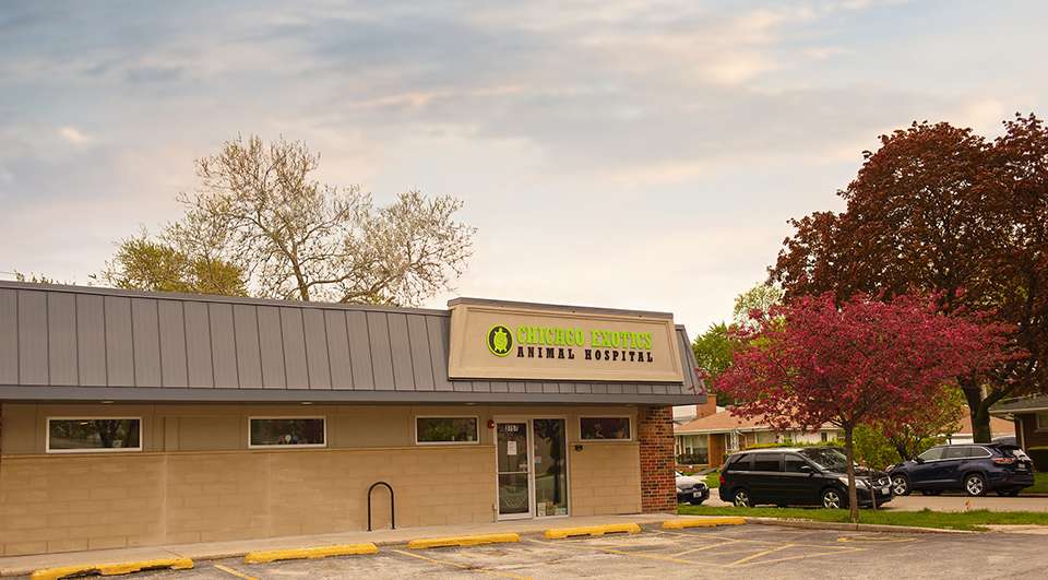 Chicago Exotics Animal Hospital | 3757 Dempster Street, Skokie, IL 60076, USA | Phone: (847) 329-8709