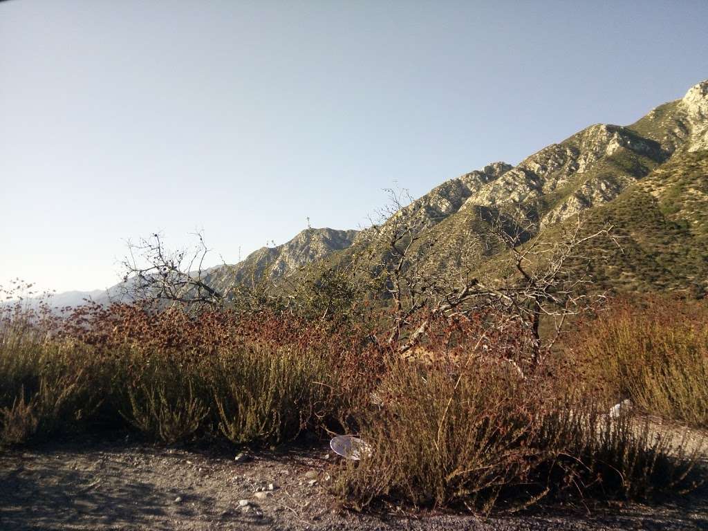 Angeles National Forest, Los Angeles River Ranger District Offic | 12371 Little Tujunga Canyon Rd, Sylmar, CA 91342, USA | Phone: (818) 899-1900