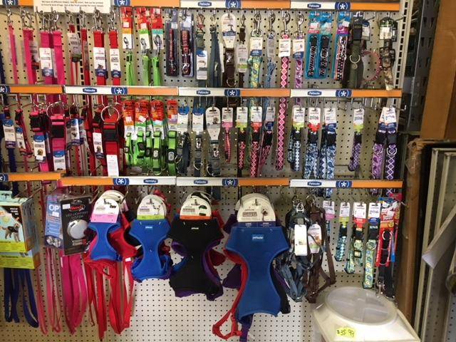 The Pet Shop | 2235 S Power Rd #107, Mesa, AZ 85209, USA | Phone: (480) 807-7840