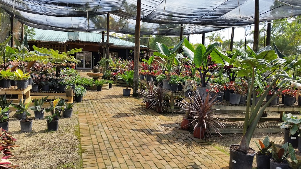 A&D Landscaping Corp The Nursery | 18849 Sheridan St, Southwest Ranches, FL 33332, USA | Phone: (954) 252-9884