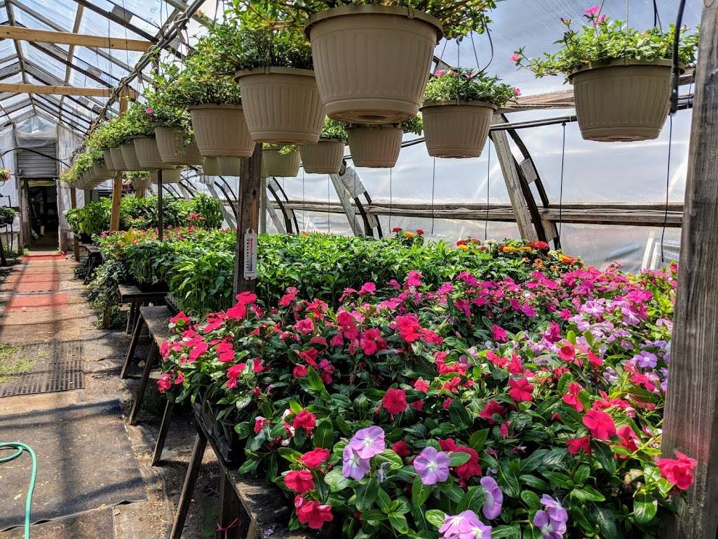 Windmill Heights Garden Center | 1901 Broad St, Culpeper, VA 22701, USA | Phone: (540) 825-2059