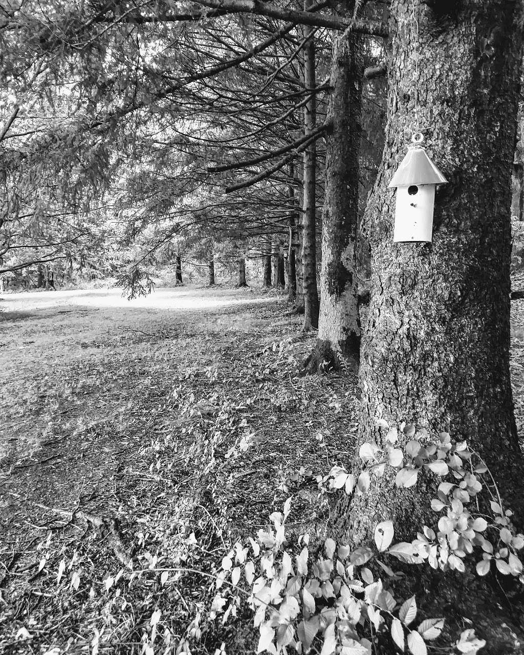 Word Christian Fellowship International | 44 Van Dyke Rd, Hopewell, NJ 08525, USA | Phone: (609) 466-1490