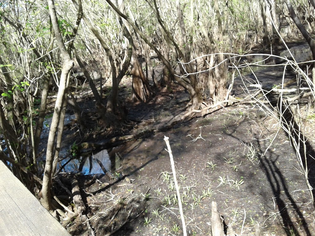 Natures Classroom | 13100 Verges Rd, Thonotosassa, FL 33592, USA | Phone: (813) 987-6969