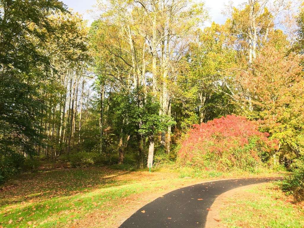 Ellanor C. Lawrence Park Parking Lot | Centreville, VA 20120