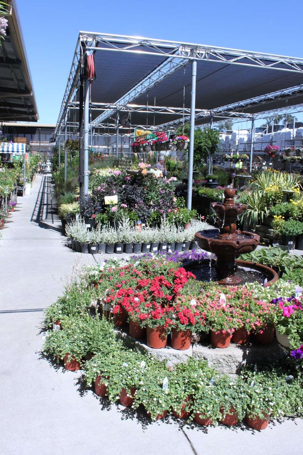 12+ Friedmans garden center ideas in 2021 