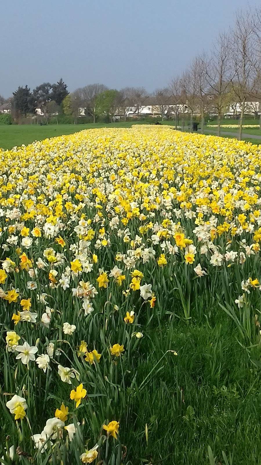 Gooseley Playing Fields | St. Albans Ave, London E6 6HU, UK