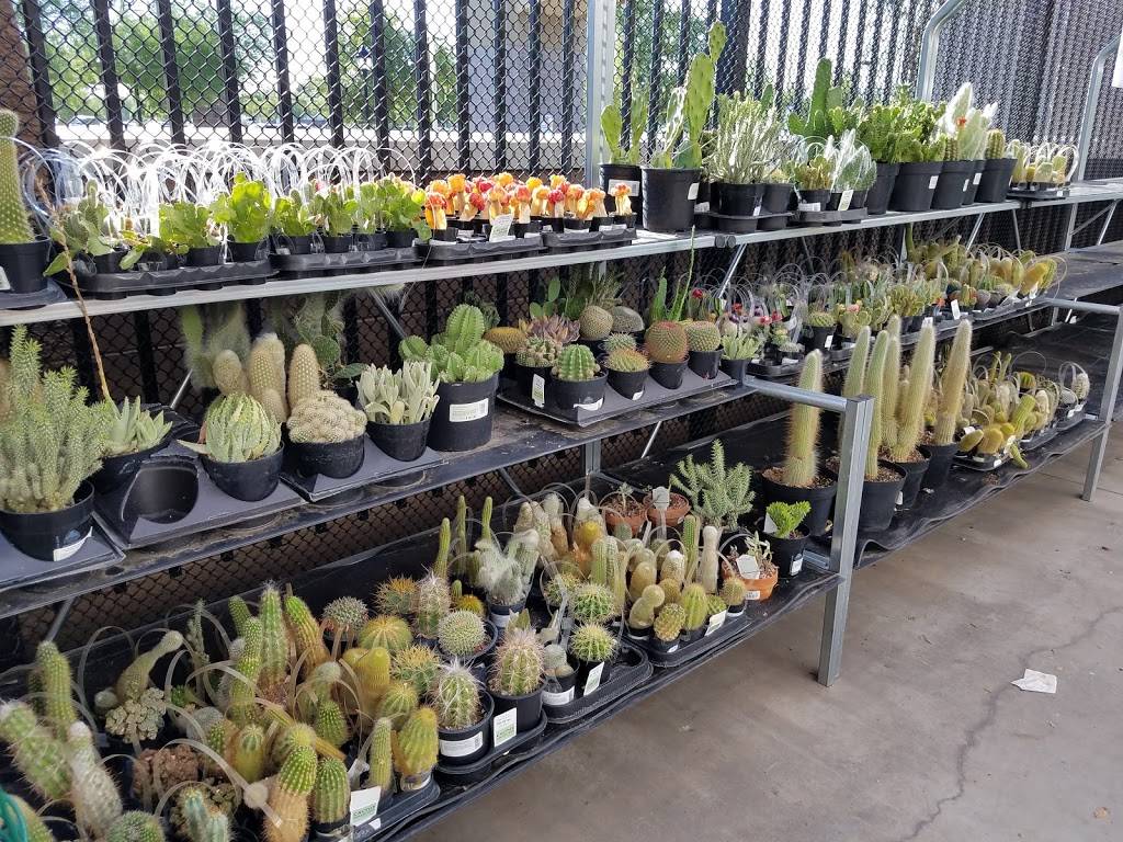 Walmart Garden Center | 5605 W Northern Ave, Glendale, AZ 85301, USA | Phone: (623) 934-6920