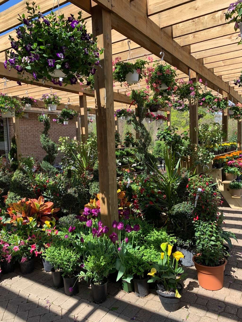 Scaping Gardens | 25 Jackson Ave, Scarsdale, NY 10583, USA | Phone: (914) 713-0222