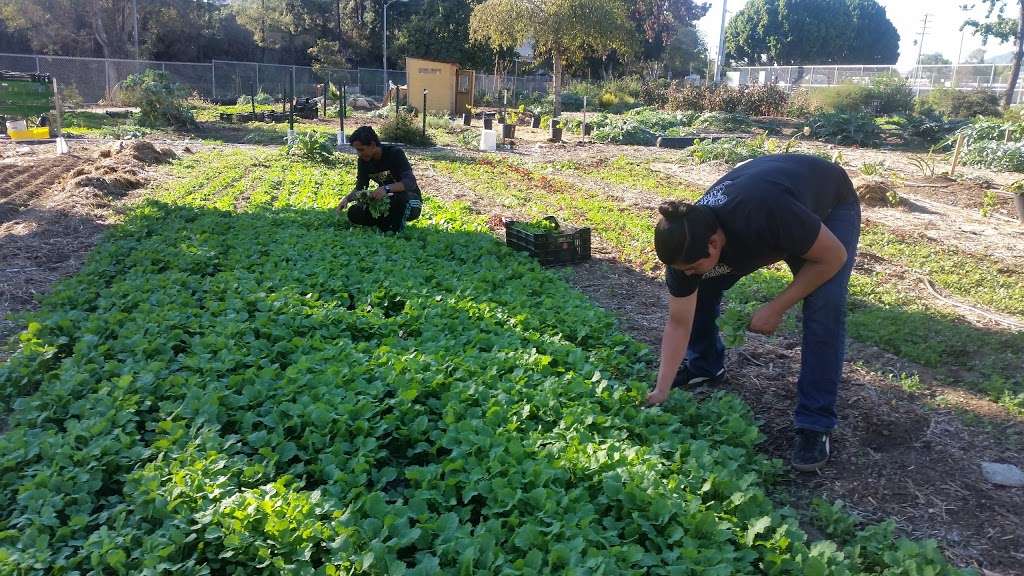 Muir Ranch | 1905 N. Lincoln Ave, Canada Ave, Pasadena, CA 91103, USA