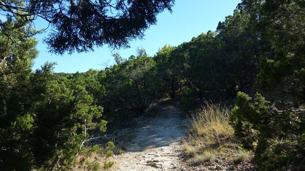 Friedrich Wilderness Park | 21395 Milsa Dr, San Antonio, TX 78256 | Phone: (210) 207-3781