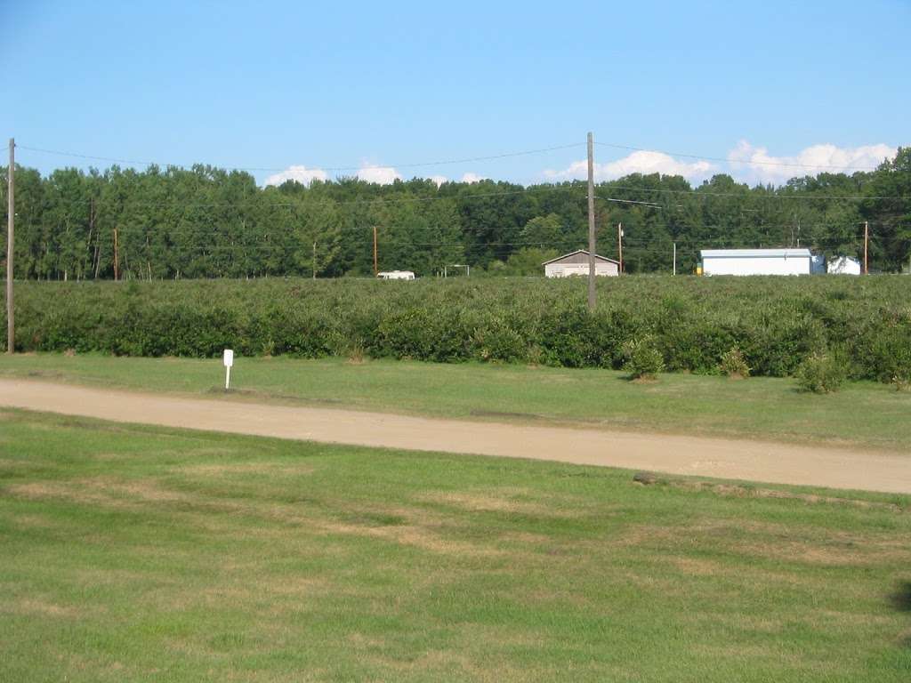 Billy Boys Blueberry Barn | 650 Freyer Rd, Michigan City, IN 46360 | Phone: (219) 872-7477