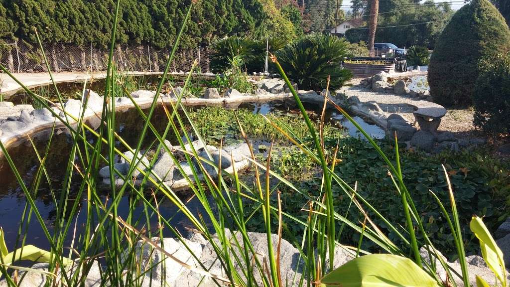 Van Ness Water Gardens | 2460 N Euclid Ave, Upland, CA 91784 | Phone: (909) 982-2425