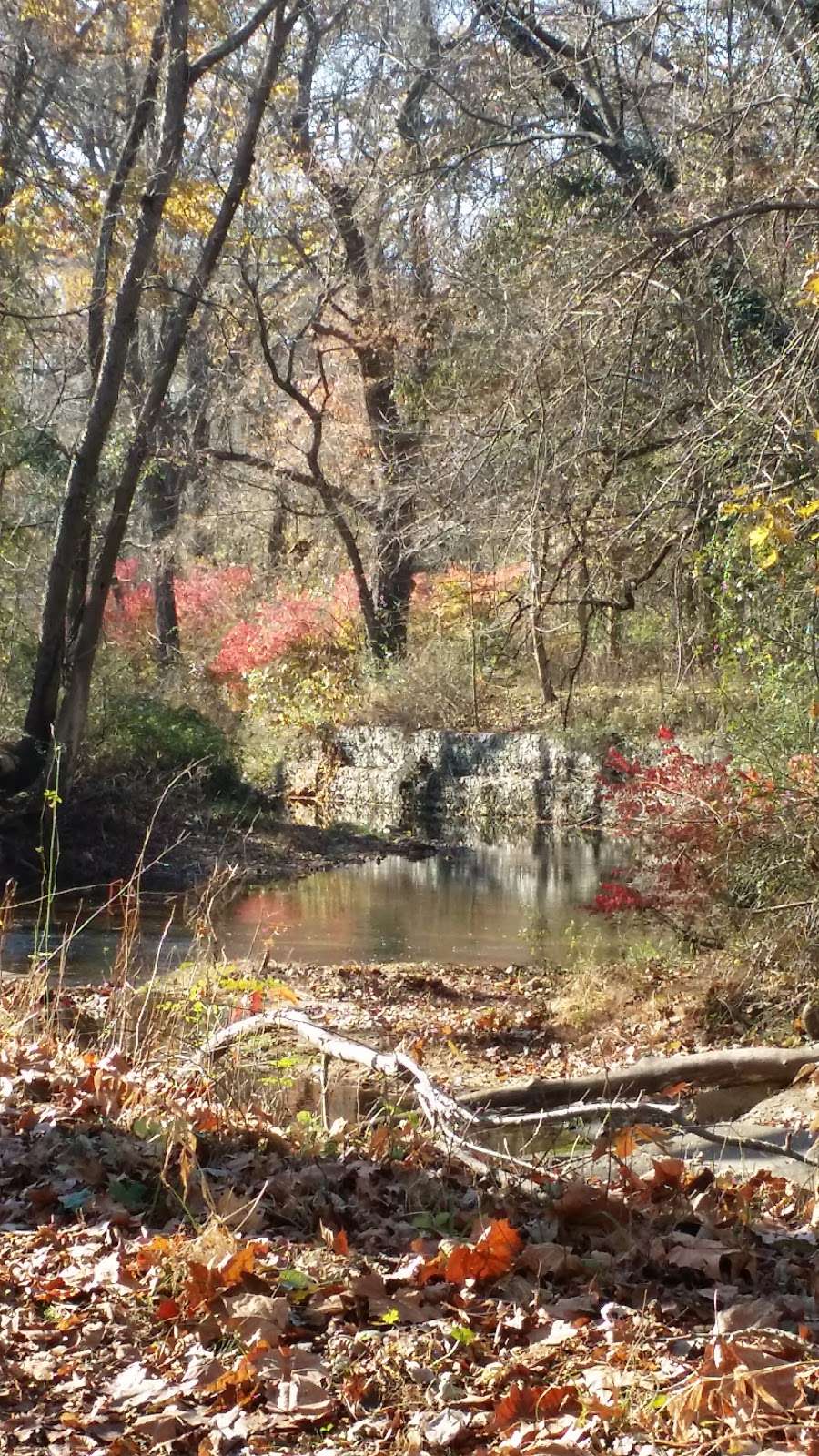 Valley Stream Christina | Newark, DE 19711, USA