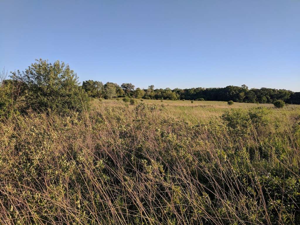 Lemont Woods County Forest Preserve | Woodridge, IL 60517, USA