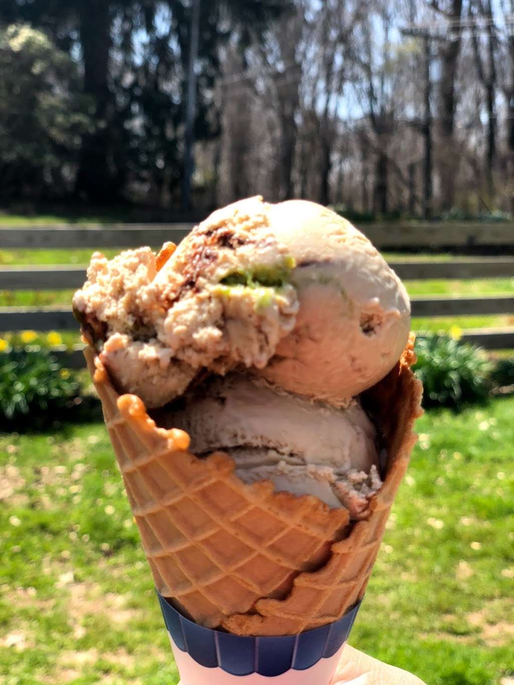 Woodside Farm Creamery | 1310 Little Baltimore Rd, Hockessin, DE 19707 | Phone: (302) 239-9847