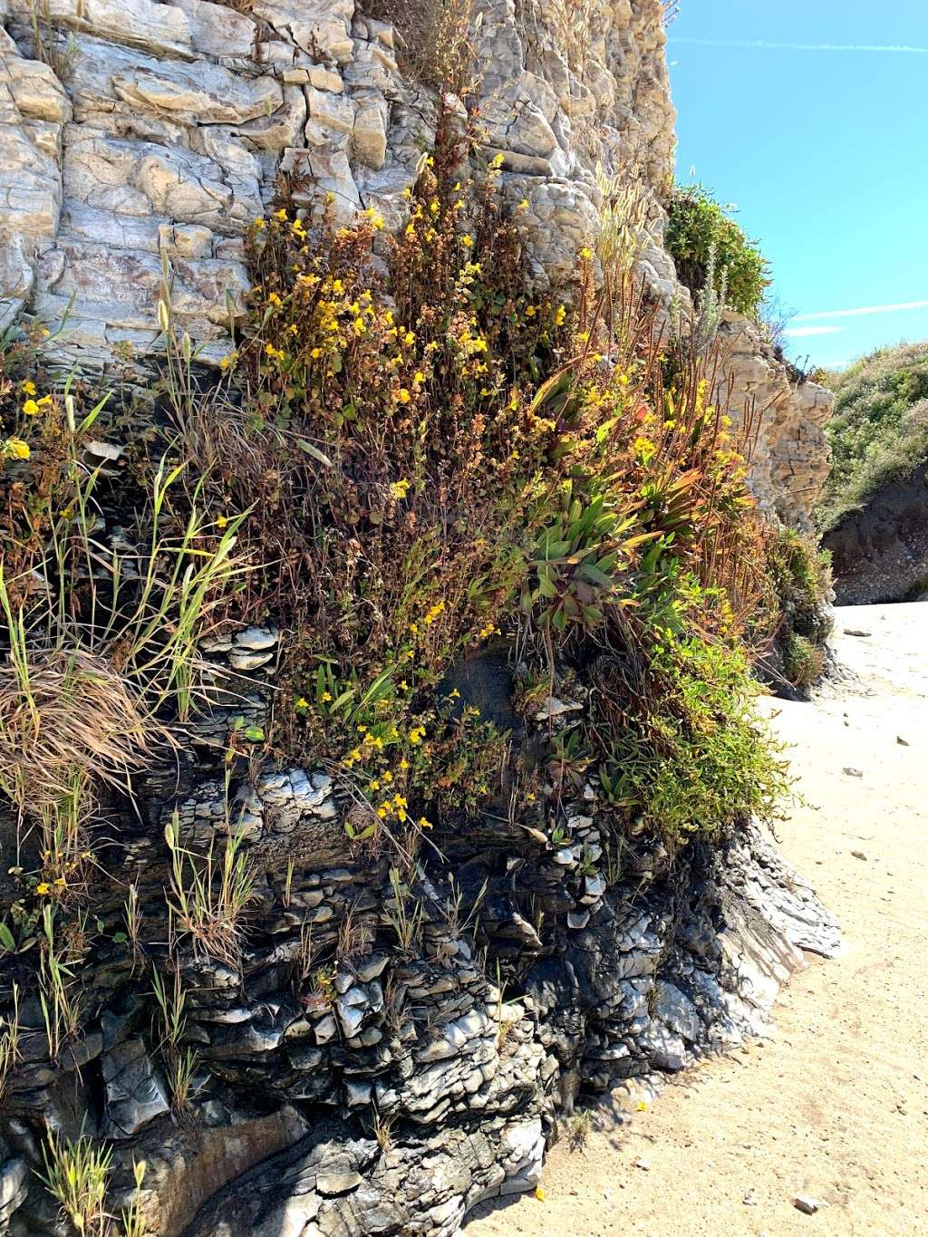 Strawberry Beach | 95060, unnamed, Santa Cruz, CA 95060, USA