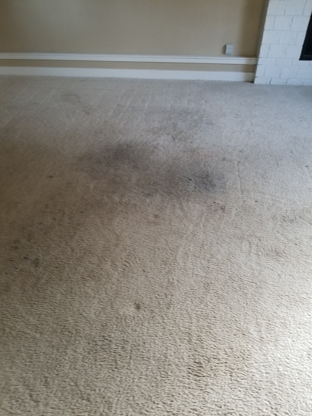 Royal Carpet Cleaning | 15208 49th Ave SE, Everett, WA 98208, USA | Phone: (425) 299-4422