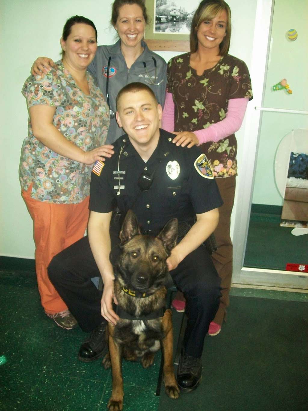 Meyer Veterinary Hospital | 549 Liberty St, Walkerton, IN 46574, USA | Phone: (574) 586-9662