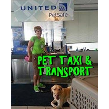Houston Pet Taxi Transport Travel Agent | 10314 Bushy Creek Dr, Houston, TX 77070, USA | Phone: (281) 658-9661