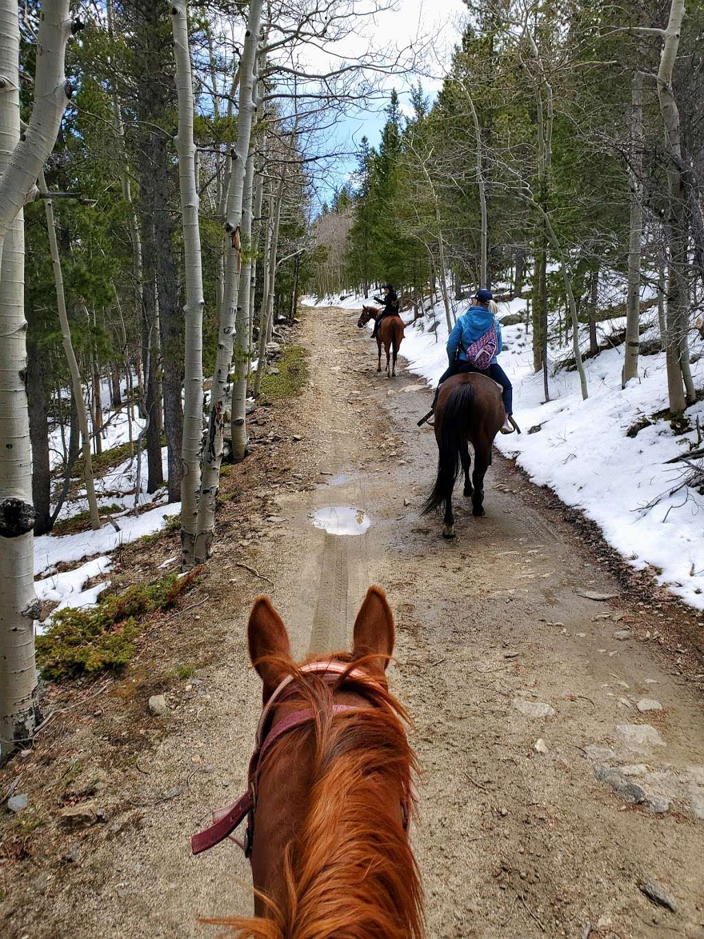 A & A Historical Horseback Riding | 188 Alps Hill Rd, Central City, CO 80427, USA | Phone: (303) 567-4808