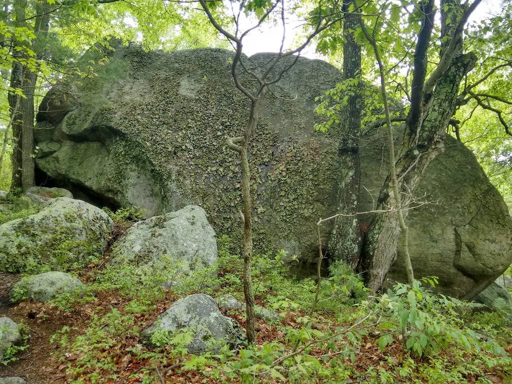 Rocky Pond Community Forest | Green St, Boylston, MA 01505, USA