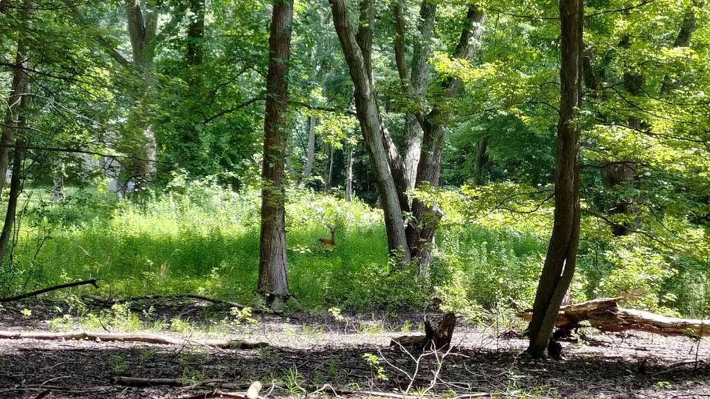 Henry Hudson Trail | Henry Hudson Trail, Morganville, NJ 07751, USA