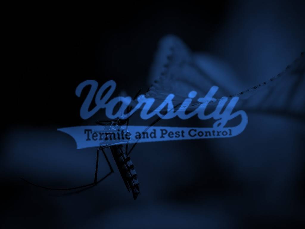 Varsity Termite and Pest Control | 2180 E Aris Dr, Gilbert, AZ 85298, USA | Phone: (480) 382-9900