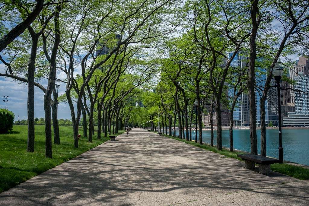 Milton Lee Olive Park waterfront | 1010 E Ohio St, Chicago, IL 60611