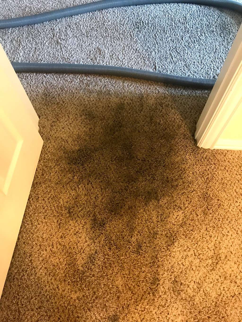 Smart Chem-Dry | 3603 Claverton Dr, Houston, TX 77066, USA | Phone: (832) 833-6175 Smart Chem-Dry | 3603 Claverton Dr, Houston, TX 77066, USA | Phone: (832) 833-6175