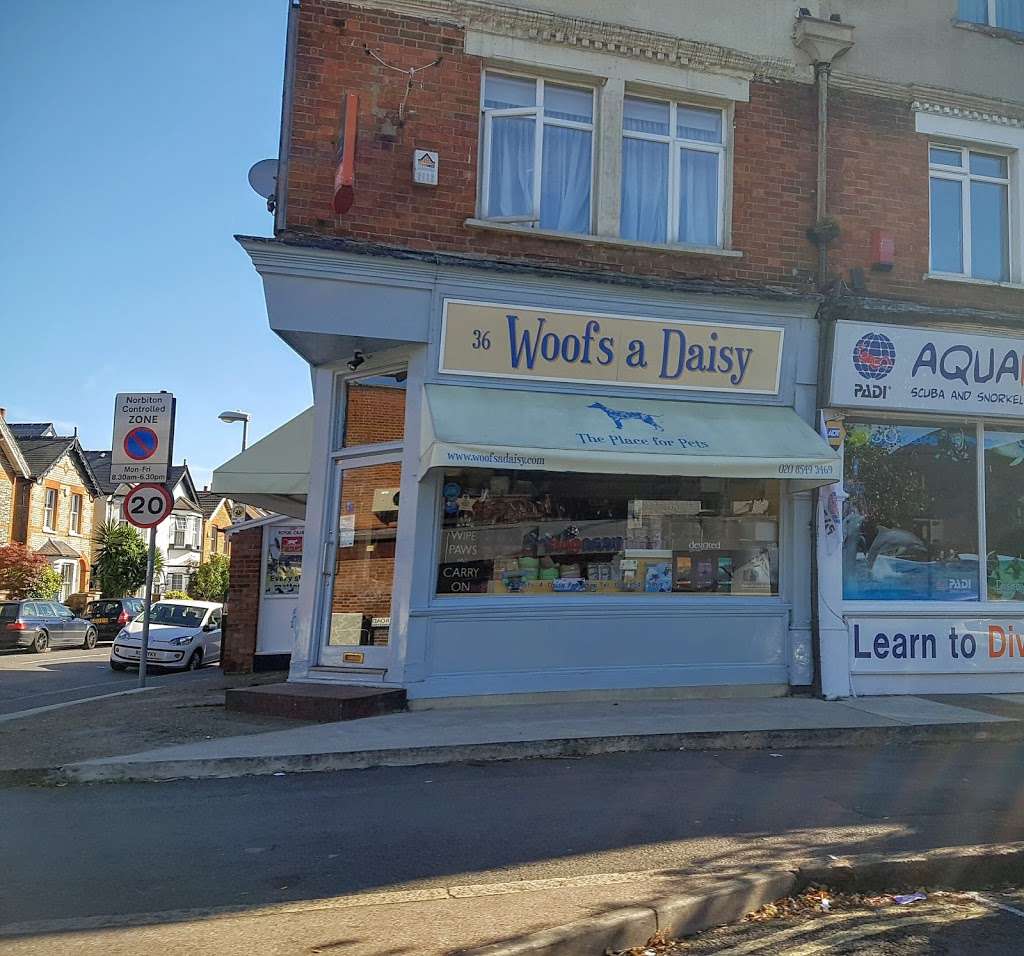 Woofs A Daisy | 36 Coombe Rd, Kingston upon Thames KT2 7AG, UK | Phone: 020 8549 3469