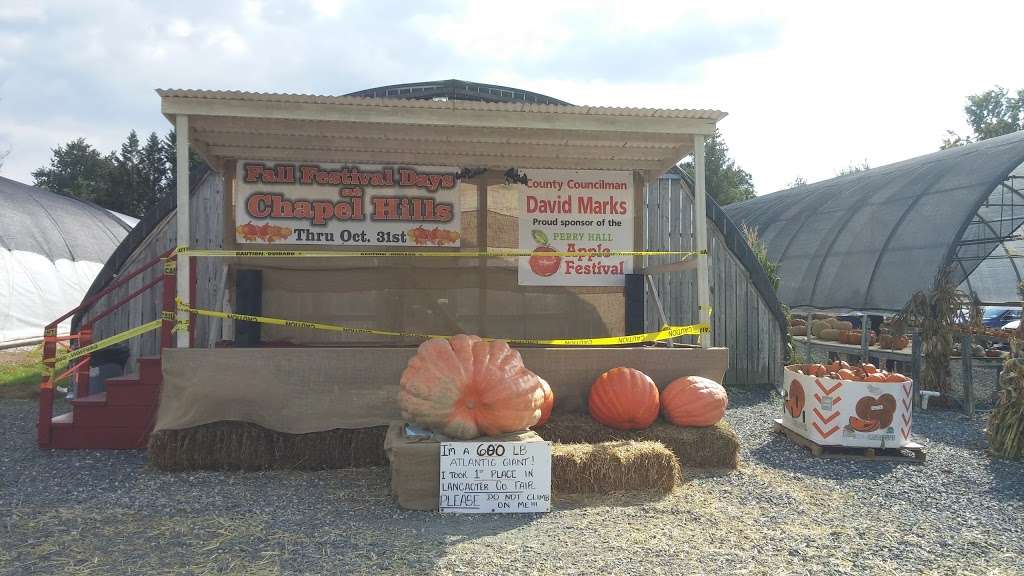 Chapel Hills Nursery | 4350 Chapel Rd, Perry Hall, MD 21128, USA | Phone: (410) 256-5335