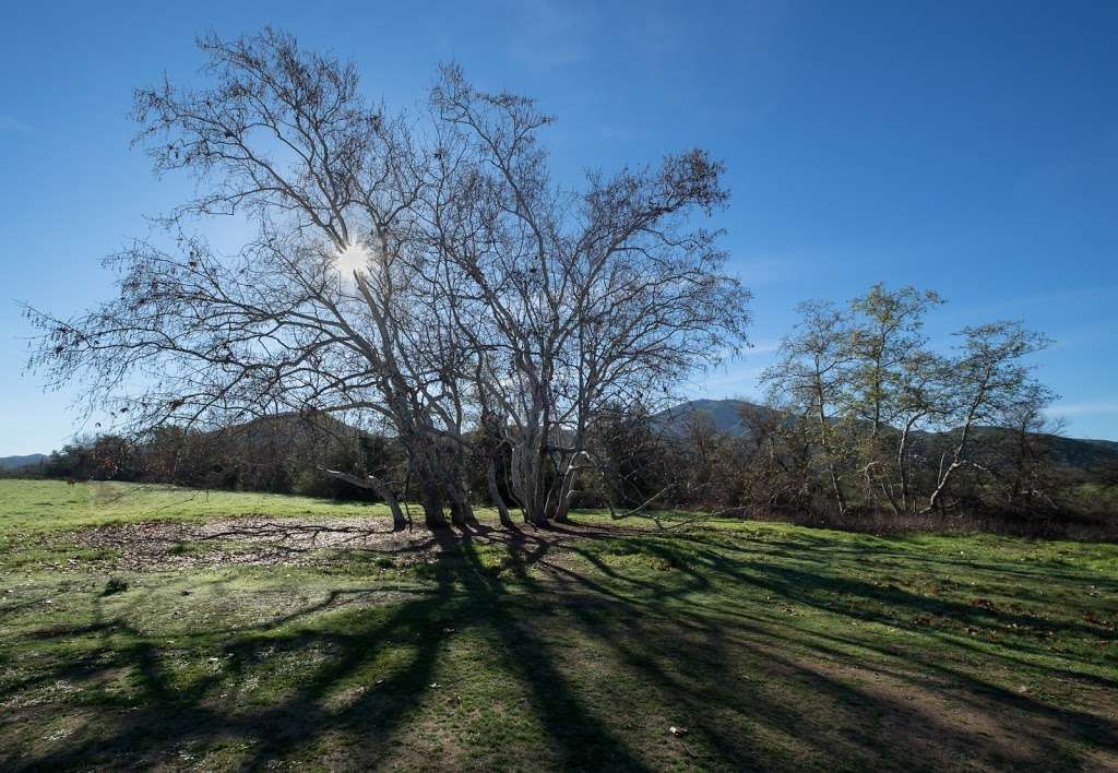 San Diego National Wildlife Refuge Interpretive Loop | 2806-2912 Millar Ranch Rd, Spring Valley, CA 91978, USA | Phone: (619) 468-9245